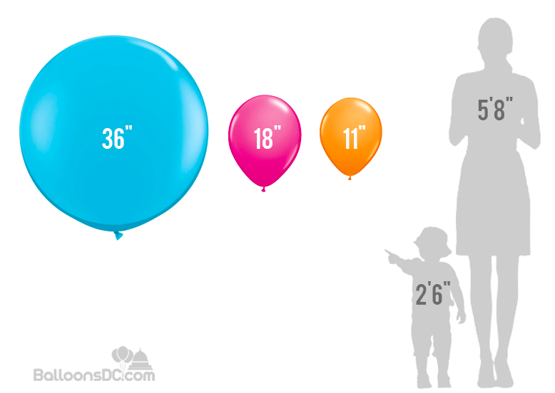 balloonsdc-latex-size-chart-2025-png
